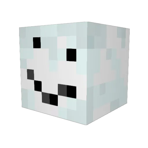 Leviathan43110 Minecraft avatar head, 3D render