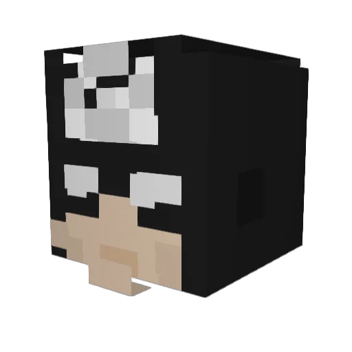 Levilovesimpala Minecraft avatar head, 3D render