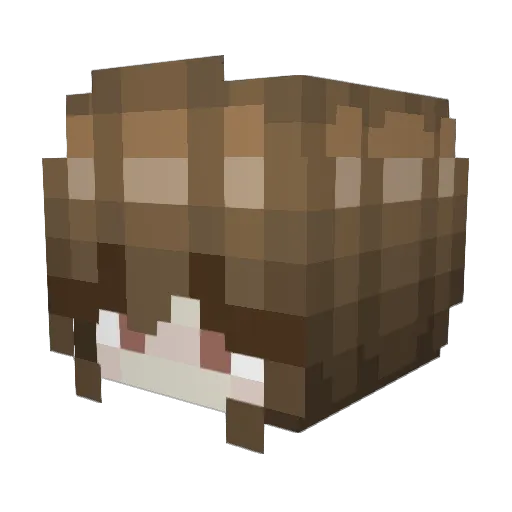 Levincia Minecraft avatar head, 3D render