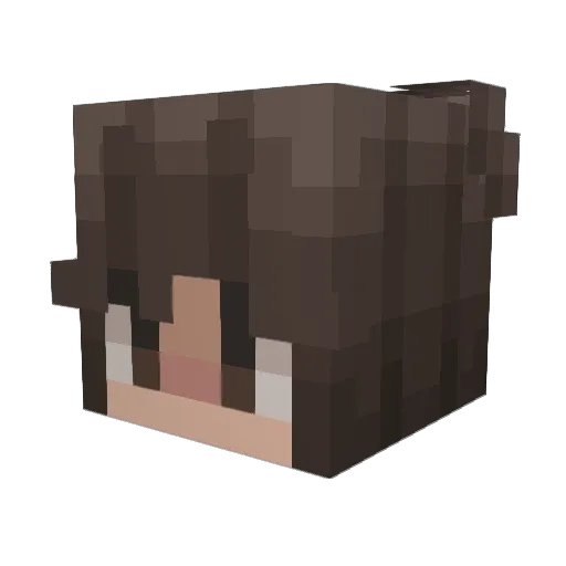 LevisWife19 Minecraft avatar head, 3D render
