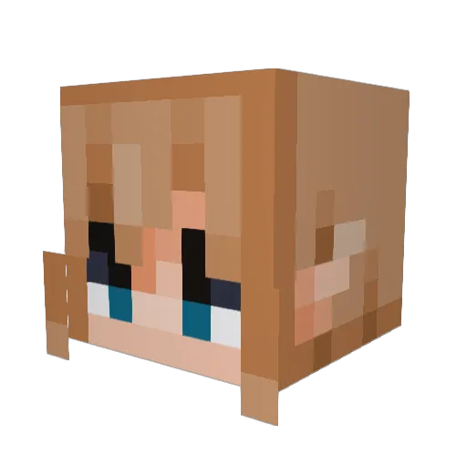 Levitheguy Minecraft avatar head, 3D render