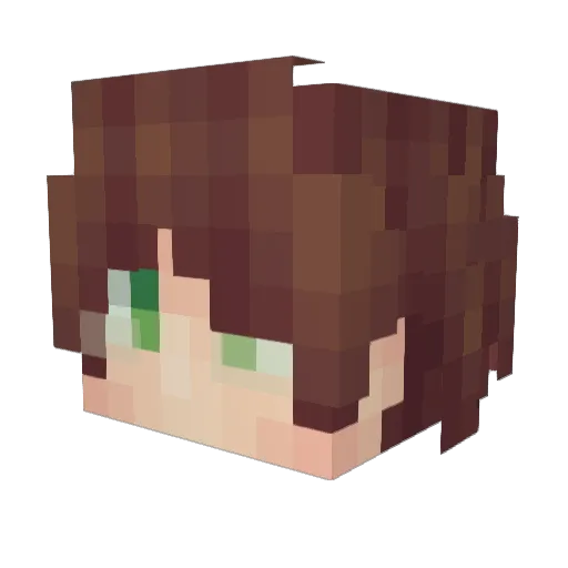 Levityler101 Minecraft avatar head, 3D render