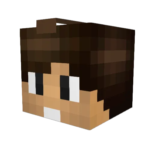 Levvy970 Minecraft avatar head, 3D render