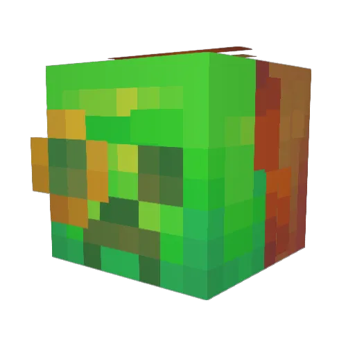 Lew2071 Minecraft avatar head, 3D render