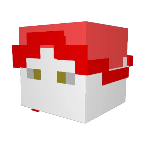 Lewarus24 Minecraft avatar head, 3D render