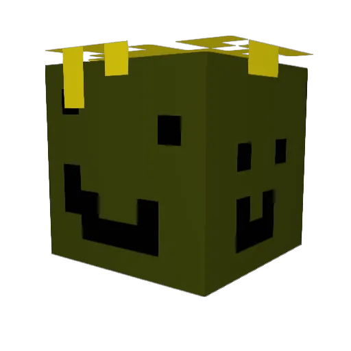 Lewcio11 Minecraft avatar head, 3D render