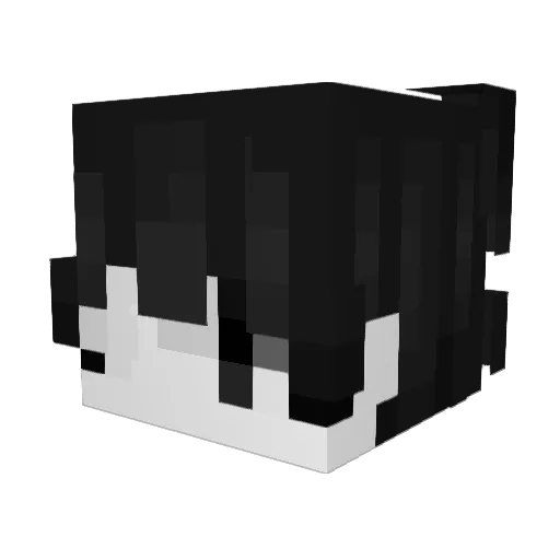 LewiaN_ Minecraft avatar head, 3D render