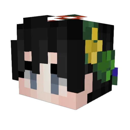 LewisandDoggo Minecraft avatar head, 3D render