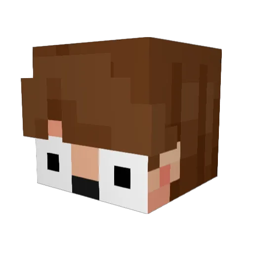 Lewisoso Minecraft avatar head, 3D render