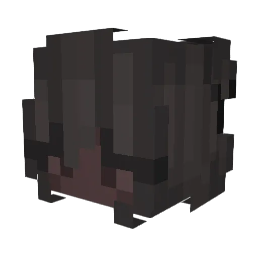 Lewminnn Minecraft avatar head, 3D render