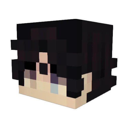 Lewster132 Minecraft avatar head, 3D render