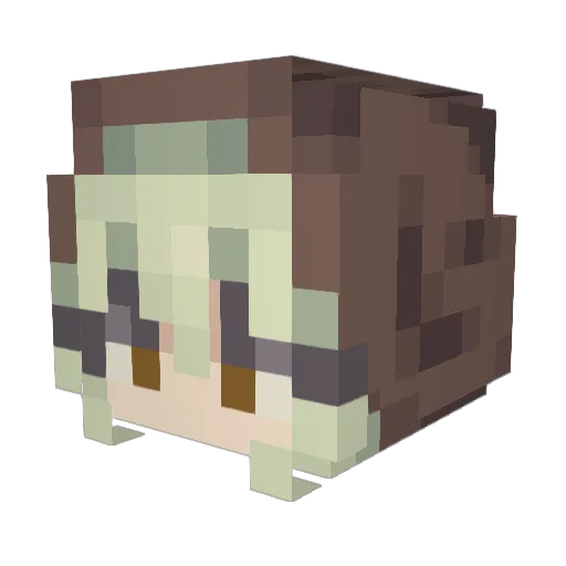 Lewwiz Minecraft avatar head, 3D render