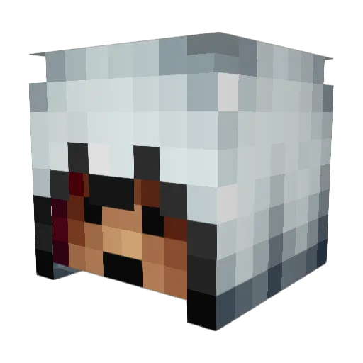 Lewy_Bear Minecraft avatar head, 3D render