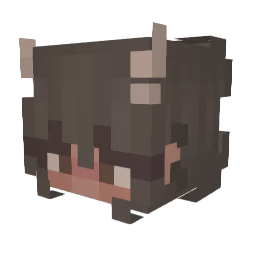 Lewyy700 Minecraft avatar head, 3D render