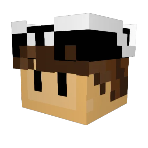 Lewyzzz Minecraft avatar head, 3D render