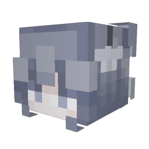 Lex3466 Minecraft avatar head, 3D render