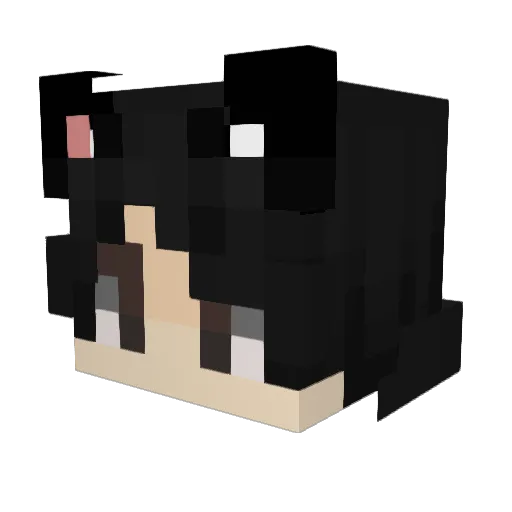LexDu Minecraft avatar head, 3D render