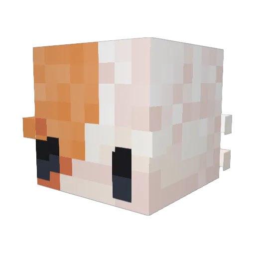 LexTje Minecraft avatar head, 3D render