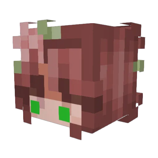 Lex_0602 Minecraft avatar head, 3D render