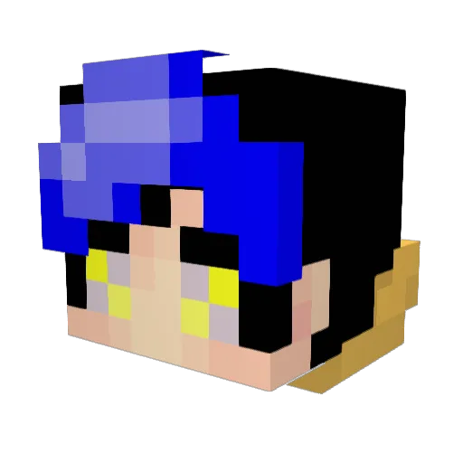 Lex_The_Bee Minecraft avatar head, 3D render