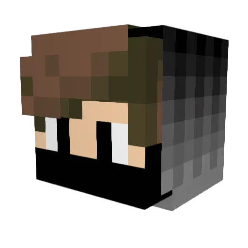 Lexa00 Minecraft avatar head, 3D render