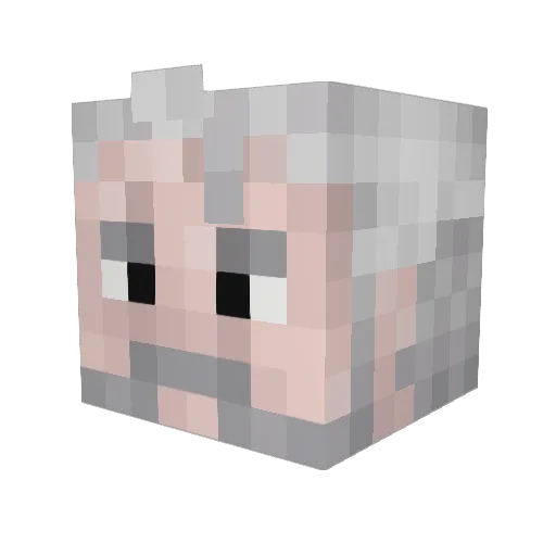 Lexa042 Minecraft avatar head, 3D render