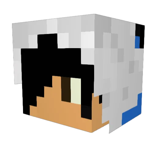 Lexa_1808 Minecraft avatar head, 3D render