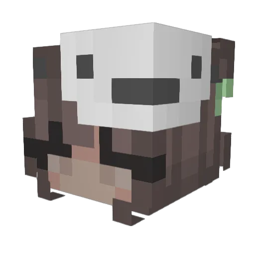 Lexerz05 Minecraft avatar head, 3D render