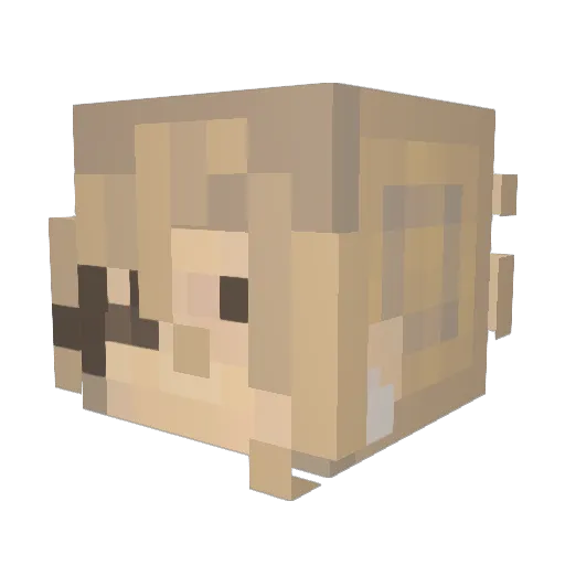 Lexhei Minecraft avatar head, 3D render
