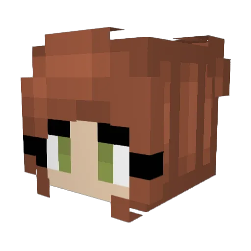 Lexi12 Minecraft avatar head, 3D render