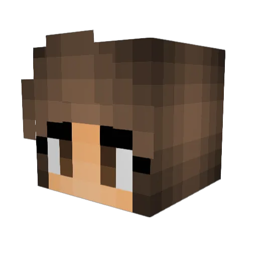 Lexi611 Minecraft avatar head, 3D render