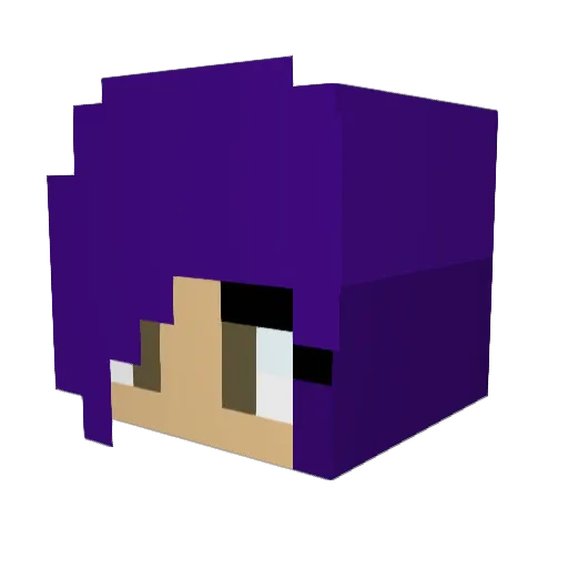 LexiD0520 Minecraft avatar head, 3D render
