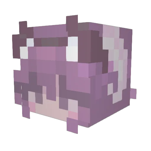 LexiIsOccupied Minecraft avatar head, 3D render