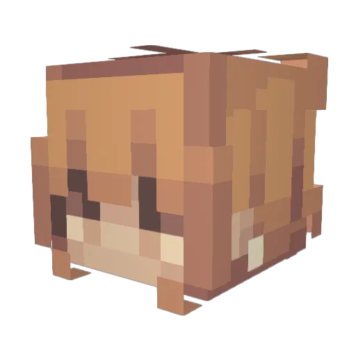 LexiJxde Minecraft avatar head, 3D render