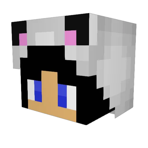 LexiMPlaysMC Minecraft avatar head, 3D render