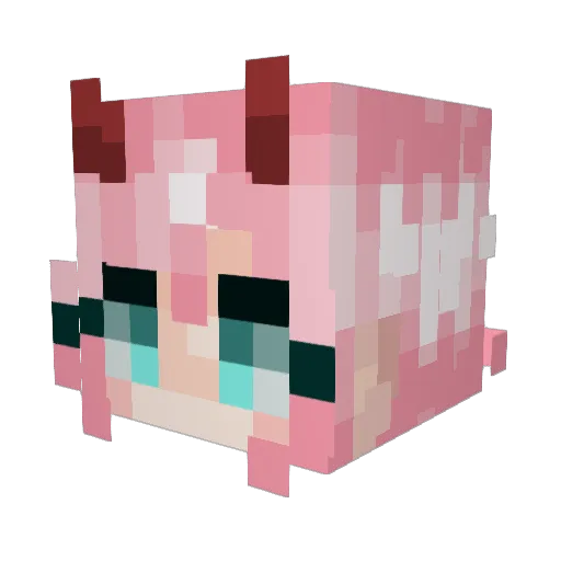 LexiTheGamer73 Minecraft avatar head, 3D render
