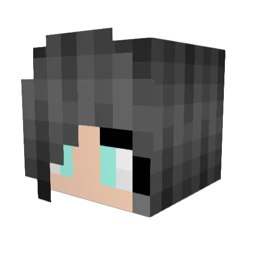Lexi_Branson Minecraft avatar head, 3D render
