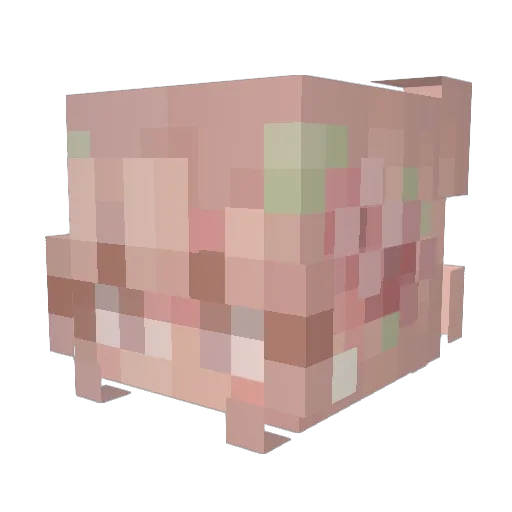 Lexi_wexi Minecraft avatar head, 3D render