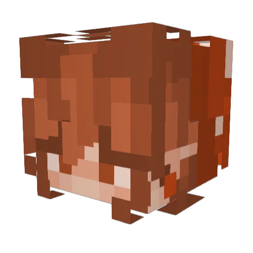 LexieeLou Minecraft avatar head, 3D render