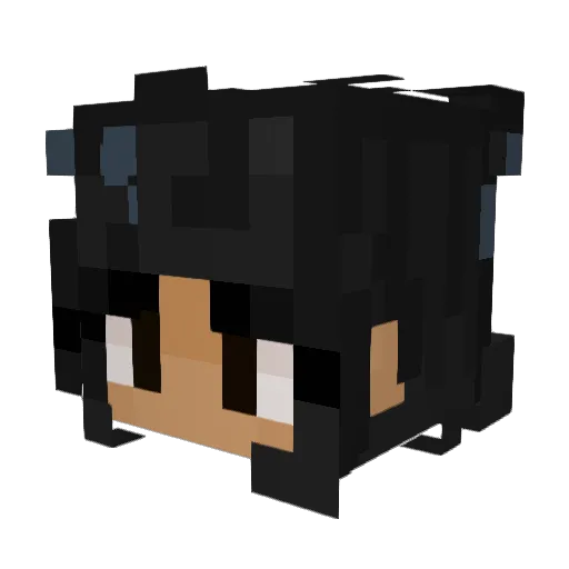 Lexii_64 Minecraft avatar head, 3D render
