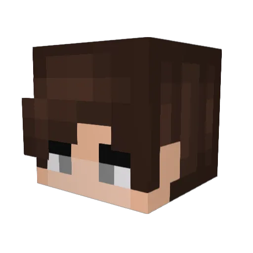 Lexus1329 Minecraft avatar head, 3D render