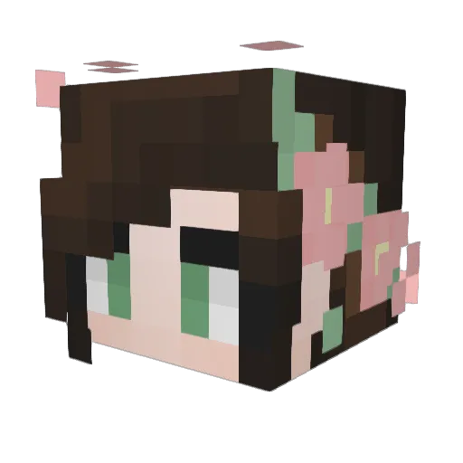 LexxRexx Minecraft avatar head, 3D render