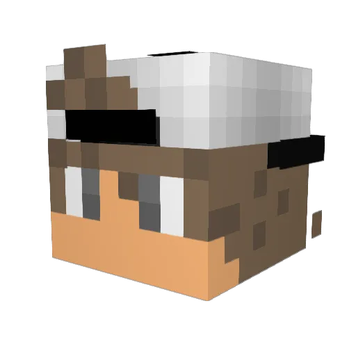 LexyDzn Minecraft avatar head, 3D render
