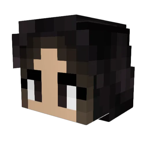 Lexy_Pepsi Minecraft avatar head, 3D render