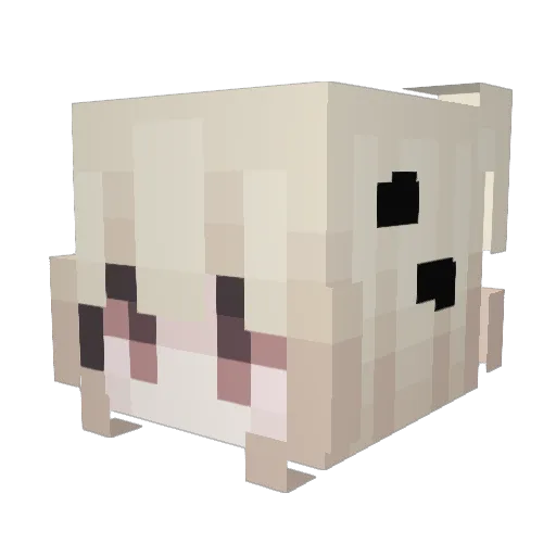 Leyed1 Minecraft avatar head, 3D render