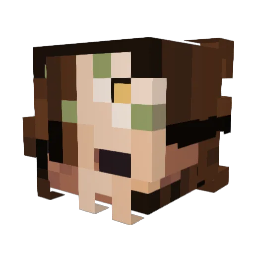 Leyich Minecraft avatar head, 3D render