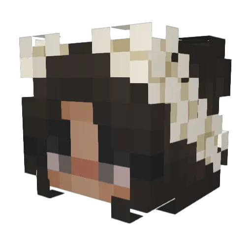 Leynaa_ Minecraft avatar head, 3D render