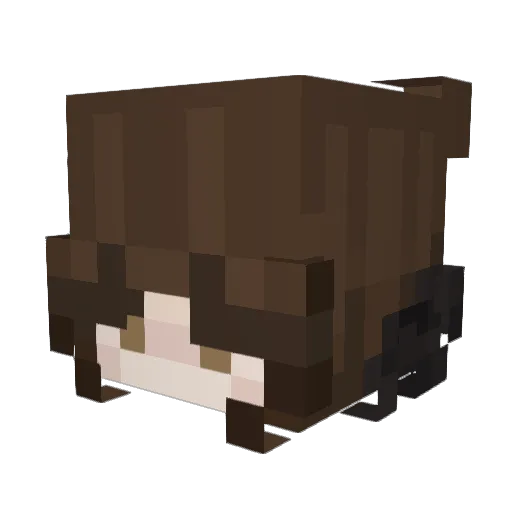 Leynari Minecraft avatar head, 3D render