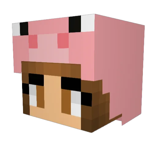 LeyreVidal Minecraft avatar head, 3D render