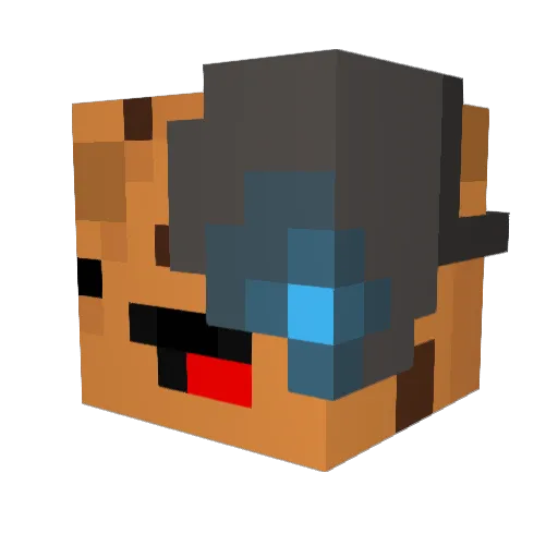 Lgun2003 Minecraft avatar head, 3D render